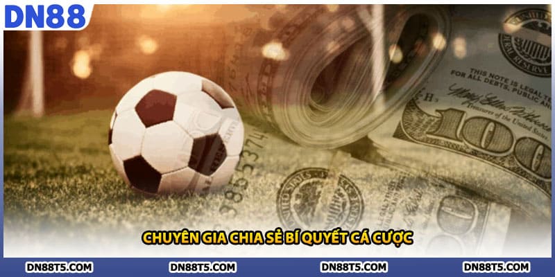 Chuyên gia chia sẻ bí quyết cá cược