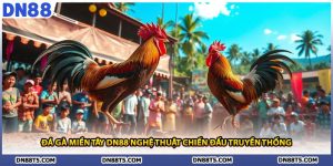 Đá Gà Miền Tây DN88 Nghệ Thuật Chiến Đấu Truyền Thống