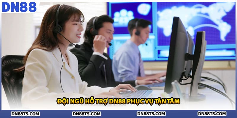Đội ngũ hỗ trợ DN88 phục vụ tận tâm